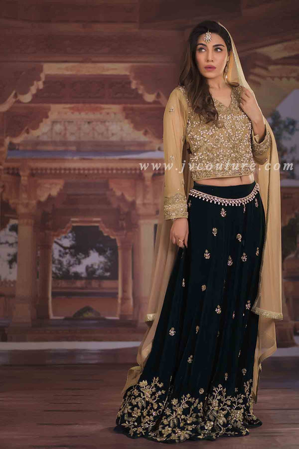 BEIGE NET BLOUSE WITH EMBROIDERY AND VELVET GHARARA